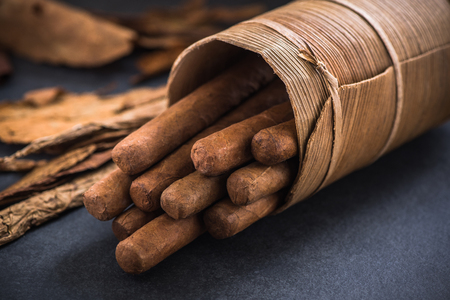 Cuban cigars in traditional cigars holder.の写真素材