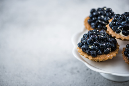 Blueberry tarts on platter, copy space concrete backgroundの写真素材