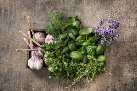 Wooden box with garden herbs on concrete or stone slateの写真素材
