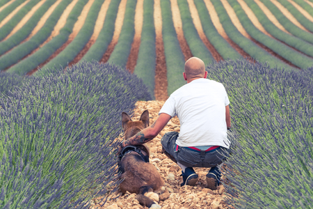 Couple travellers in lavender fields in Provence.の写真素材