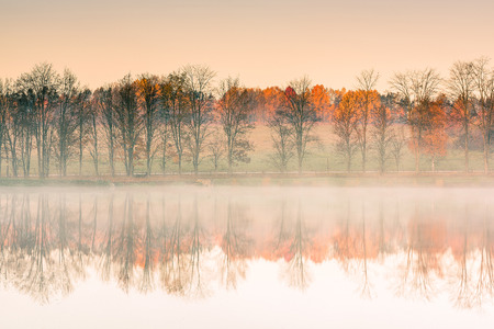 Trees at lake egde reflect in water with autumn colors, misty morningの写真素材
