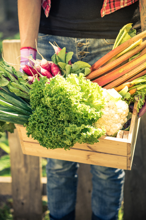 Young woman holding own vegetables.の写真素材