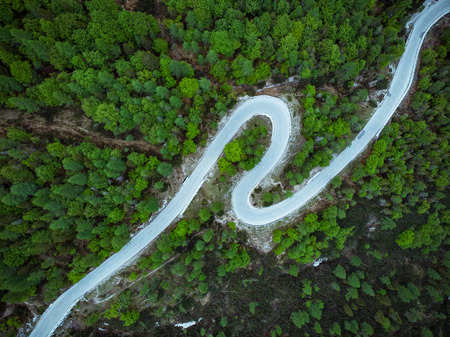 Curved road trough forest , birds eye drone aerial view.の写真素材
