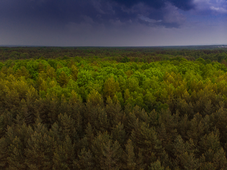 Thunderstorm over wild forest at spring,aerial drone.の写真素材
