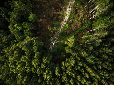 Off road car in the middle of forest, aerial top down view.