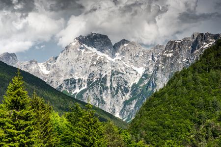 High mountains peak with snow and dense forest in foregroundの写真素材