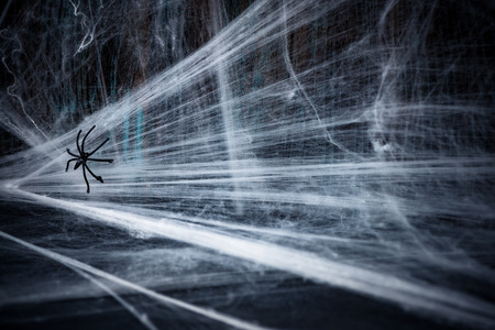 Spider net on wooden background,Halloween spooky.