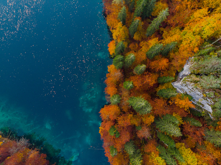 Magical autumn forest, top down aerial from above.