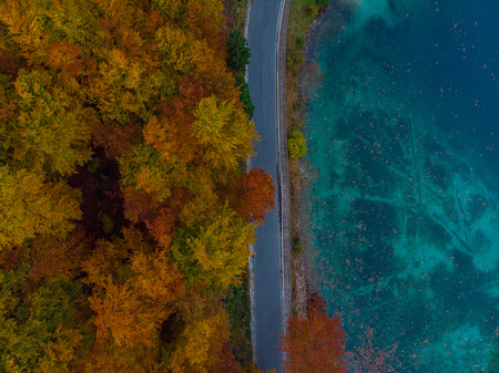 Colorful atumn forest and blue lake water.