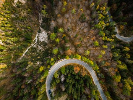 Curvy road trough atumn forest,aerial top down view.