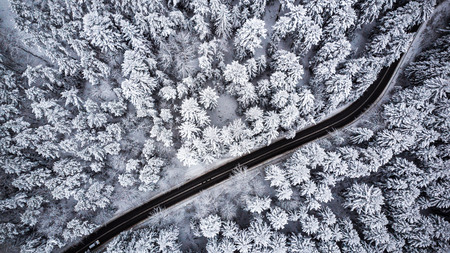 Car drive  trough winter forest,aerial view.の写真素材