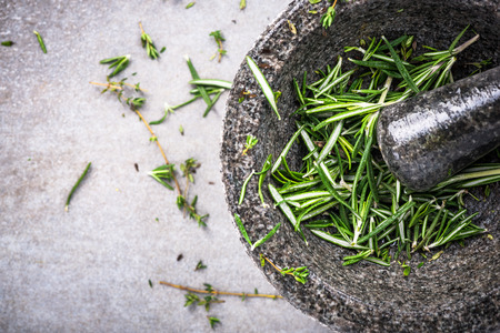 Fresh organic rosemary in concrete pestle or mortar.