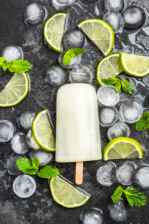 Lime juice homemade ice cream over ice, mint and fresh fruits.の写真素材