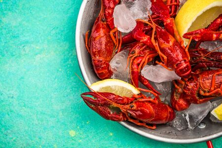 Fresh Red Crayfish with Ice Cubes on Saucepan,Copy Space.の写真素材