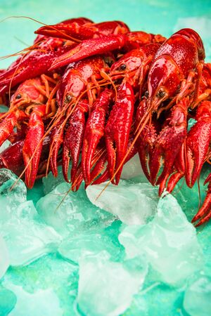 Red Crayfish or Lobster, Fresh on Ice Cubes, Top View. Healthy Food.の写真素材