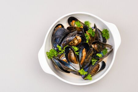 Marine Life and Seafood Pollution, Conservation and Ecology Concept.