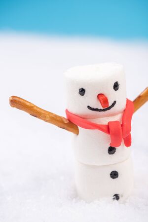 Smiling Festive Marshmallow Snowman in Snow. Christmas Festive Card.の写真素材