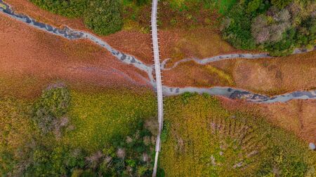 Wooden Bridge Over Autumnal Grassland. Abstract Pattern. Top Down Drone View.の写真素材