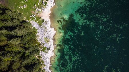 Forest Edge at Lake with Rocky Shore. Aerial Drone Top Down View. Abstract Natural Pattern.