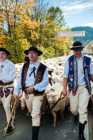 SZCZAWNICA,POLAND - OCTOBER 12, 2019: Polish Shepherds in Traditional Festive Clothing Leading Sheeps Trough Village. Celebrating "Redyk" Day When Sheeps Going Back To Village for Winter from Grazingのeditorial素材