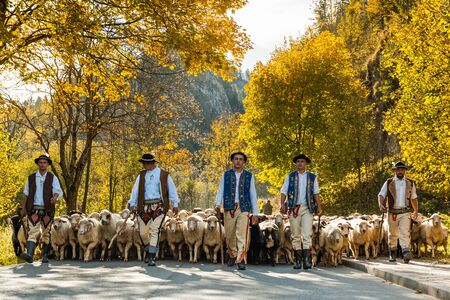 SZCZAWNICA,POLAND - OCTOBER 12, 2019: Carpathian Shepherds in Traditional Clothing Walk Sheeps Back To Villages For Winter Months From Grazzing in Mountains.のeditorial素材