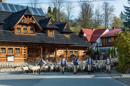 SZCZAWNICA,POLAND - OCTOBER 12, 2019: Carpathian Shepherds Walking With Sheeps Trough Village in Szczawnica. Traditional Day "Redyk" Celebration.のeditorial素材