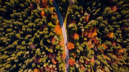 Road Trough Forest at Fall Season. Top Down Drone. Colorful Foliage.