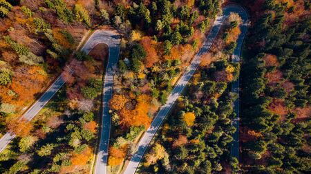 Beautiful Winding Road in Woodland at Fall Season. Top Down Drone Aerial View.の写真素材