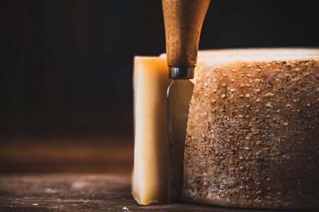 Hard Matured Cheese Wheel. Local Traditional Food Production in Diary Cellar.の写真素材
