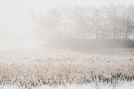 Moody Filtered Image of Misty Morning at Lake in Autumn.