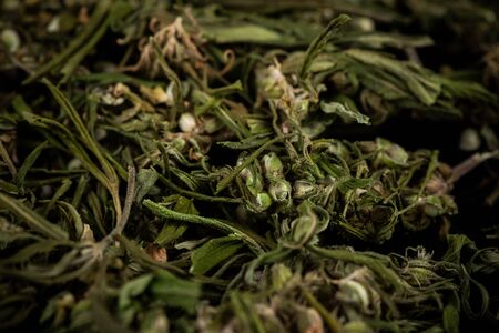 Sative Indica or Cannabis Marijuana Flower Buds Blur Bacground.の写真素材