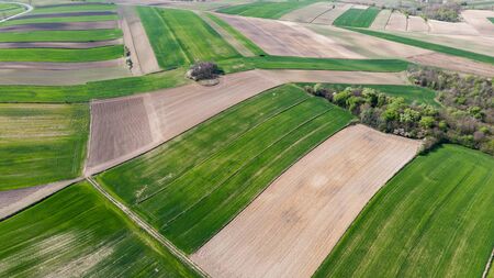 Ploughed or Plowed and Cultivated Fields in Farm. Geometric Fields Shapes. Aerial Drone View.