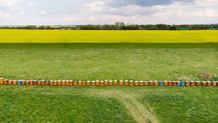 Organic Honey Production. Apiary with Wooden Beehives in Countryside. Aerial Drone View.