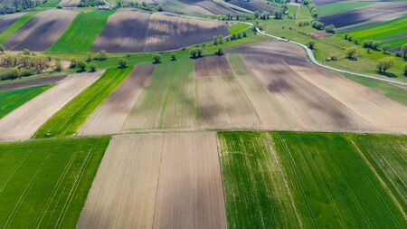 Ploughed or Plowed and Cultivated Fields in Farm. Geometric Fields Shapes. Aerial Drone View.