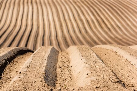 Plowed or Ploughed Fields at Countryside. Rows in Farmland at Srping. Agriculture Concept.