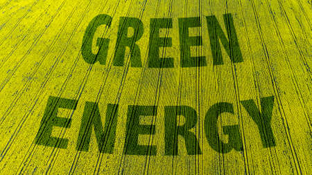 Rapeseed or Canola Plantation. Bio Fuel or Green Energy Idustry. Aerial Drone View.の写真素材