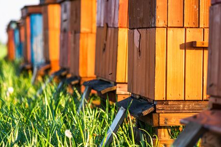Traditional Ecological Apiary on Meadow in Countryside. Bio Honey Production.の写真素材