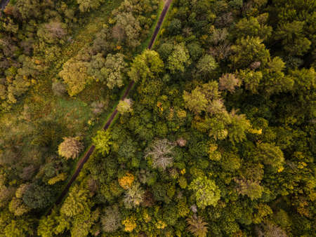 Wild Trial Trough Colorful Autumn Forest. Bieszczady Mountains in Poland. Drone View.