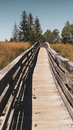 Wooden Trial in Tarnawa in Bieszczady Mountains,. Outdoor Adventure in Grassland and Autumn Park.