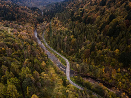 Aerial Drone View of Stream and Road Winding Trough Autumnal Forest.