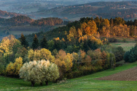 Colorful Foliage on Trees and Rolling Hills in Fog at Autumnal Sunrise.の写真素材