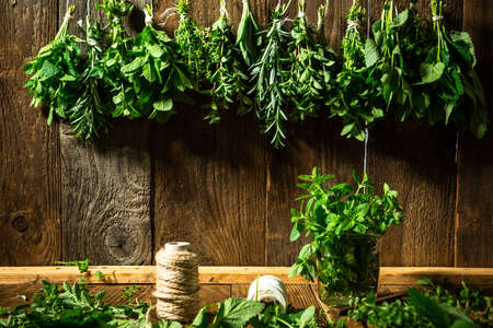 Collection of Aromatic Fresh Herbs. Bunch of Herbs Drying. Wooden Kitchen Table.の写真素材