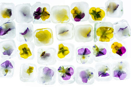 Ice Cubes with Pansy Petals. Summer Refreshing Drinks Idea. White Background, Backlite.