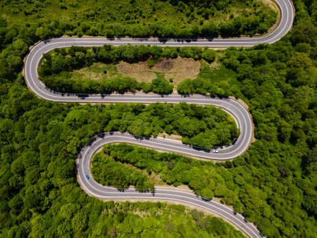 Winding Curvy Road Trough Green Forest. Top Down Drone Perspective View.
