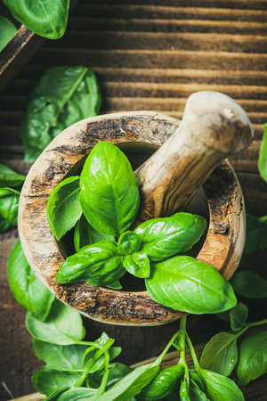 Making Homemade Pesto from Fresh Basil Herb.の写真素材