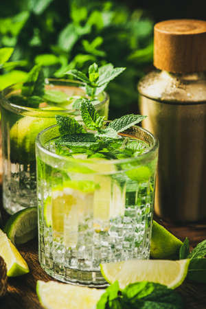 Refreshing Summer Mojito with Lime Ice Soda and Mint.の写真素材