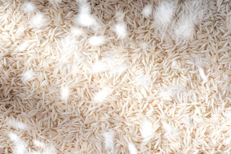 Uncooked White Rice Grain Background. Flying Grains Motion.の写真素材
