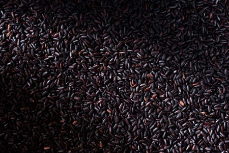 Uncooked Black Rice Grain Background. Top Down View.