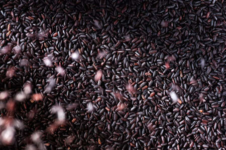 Uncooked Black Rice Grain Background. Flying Grains Motion.