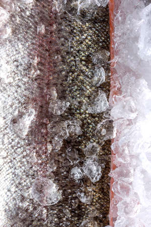 Fresh Raw Fish Piece on Ice. Food Background.